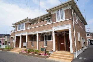 エヴァーグリーンAの画像