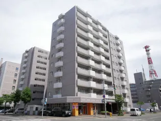 朝日プラザ北7条A棟【10階】の外観