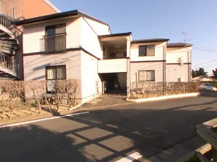 エクセルNAGAMINEーBの画像