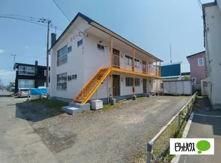 オリーブの画像