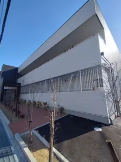 RAFFINE SAKAIの画像