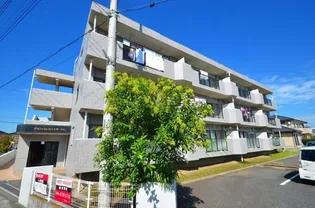 グランパレスベイサージュ【2階】の外観