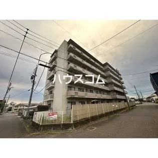 THE T O Mの画像