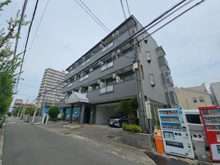 イフ コートの画像