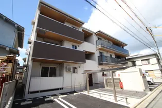 ルミナスSの画像