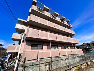 ライズ島崎IIの画像