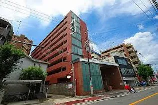 エクセレント上新12の画像