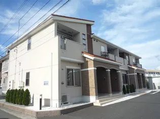 プリムラMTの画像