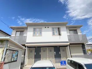 アムールの画像