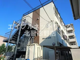 ラフィーネミズホの画像