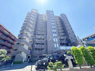 スタークレストの画像