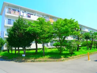 根貝戸団地2号棟の画像