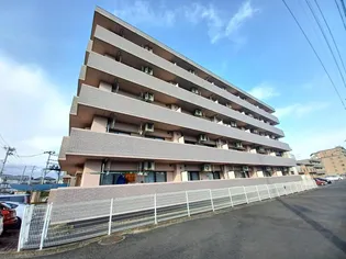 アイーラ渡辺の画像