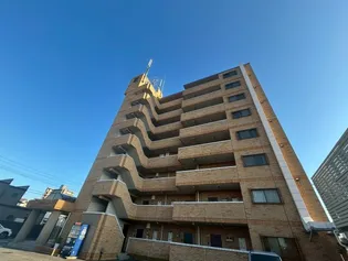 マルイブーゲンビリアの画像