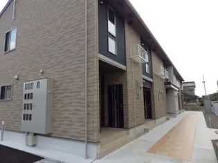 ルピナスの画像