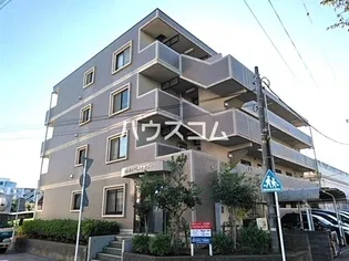 パストラルベルフラワーの画像