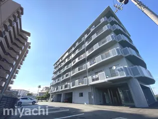 徳島県徳島市川内町鶴島【マンション】の外観