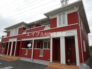 シャルマンBの画像