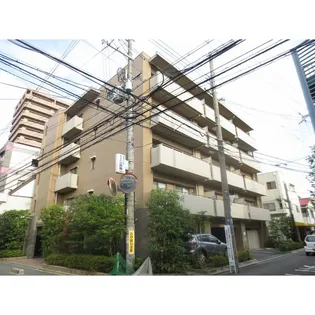 パレビバスの画像