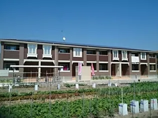 サニー エンゼルの画像