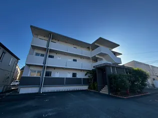 セイラクォーレの画像