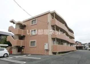 ヒラソールの画像