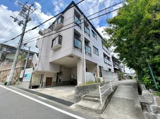 メルヘンビラの画像