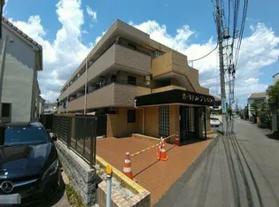 リトルブラウンの画像