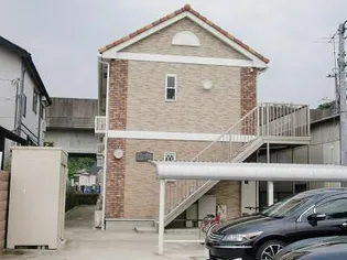 コモド マッティーノの画像