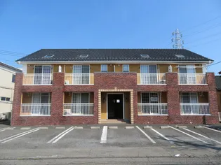 ホワイトリリーの画像