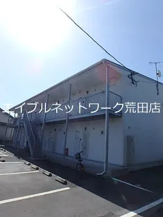 マリナ カーメルの画像