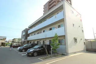 チェリスの画像