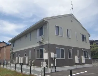 ヒルズ相染の画像