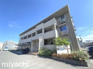 徳島県徳島市住吉4【マンション】の外観