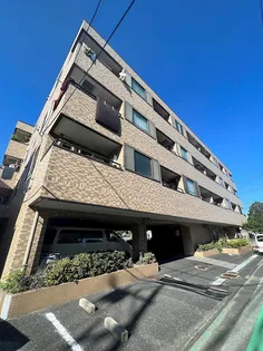 ピュアパルムの画像