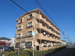 ソレアードの画像