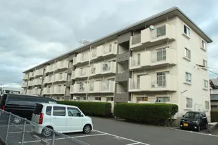 新納マンション【4階】の外観