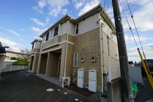 スプリングチェリー2の画像