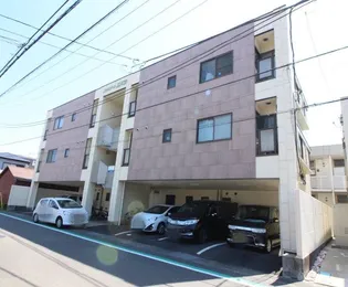 ファランドールエバラの画像