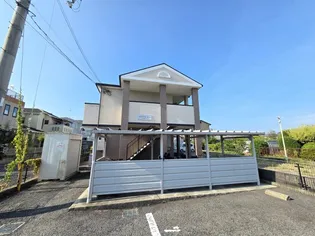 カモミールコートの画像