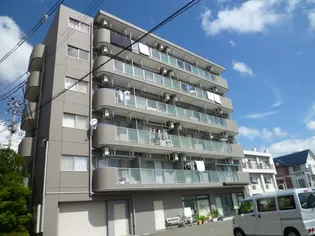 E シュマンの画像