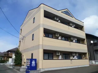 エレガント桜の画像