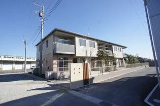 クレマチスの画像