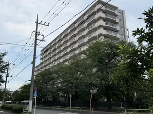 蓮根ファミールハイツ1号棟の画像