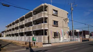 サイプレス ポイントの画像