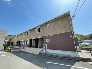 ステラ ポラリスの画像