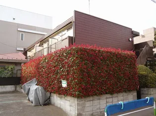 ハウス崎山【2階】の外観