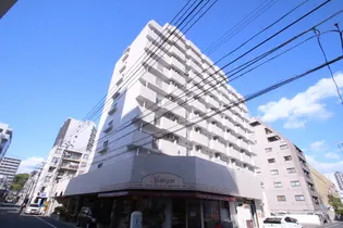 光町ハイム【5階】の外観