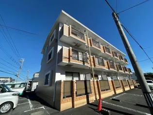 ライクキャスケットの画像