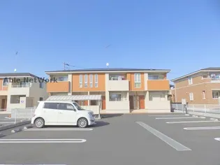 プルメリアの画像